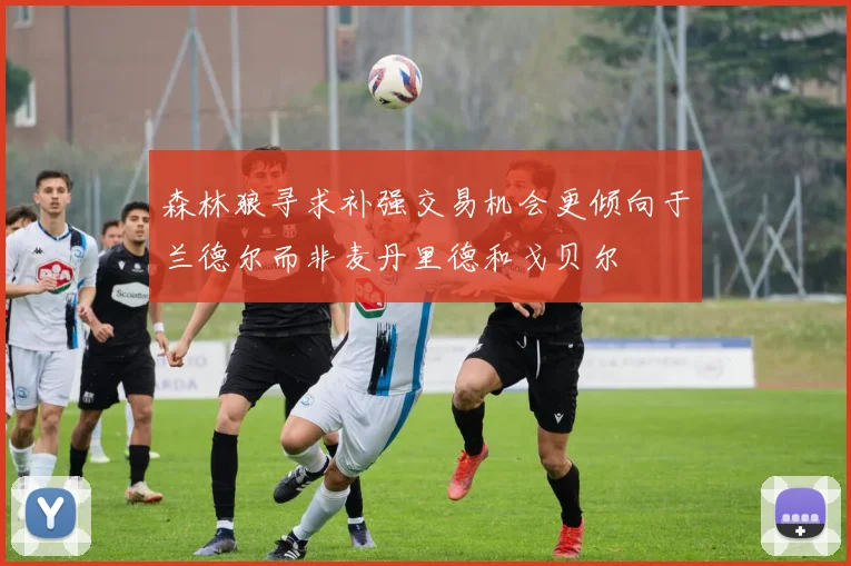 森林狼寻求补强交易机会更倾向于兰德尔而非麦丹里德和戈贝尔